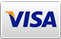 Visa credit card logo