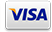 Visa credit card logo
