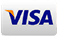 Visa credit card logo