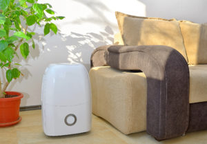 dehumidifier next to sofa in living room